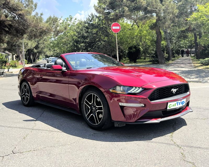 Ford Mustang Спорт купе / Кабриолет